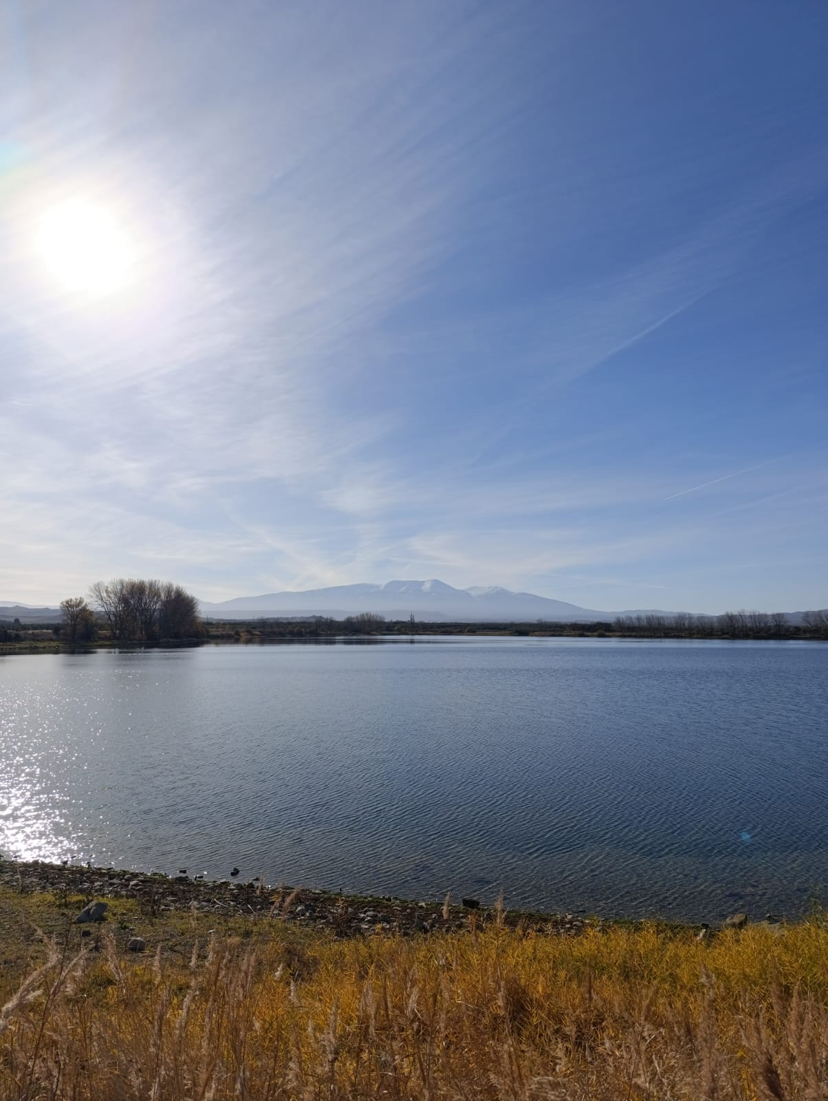 laguna